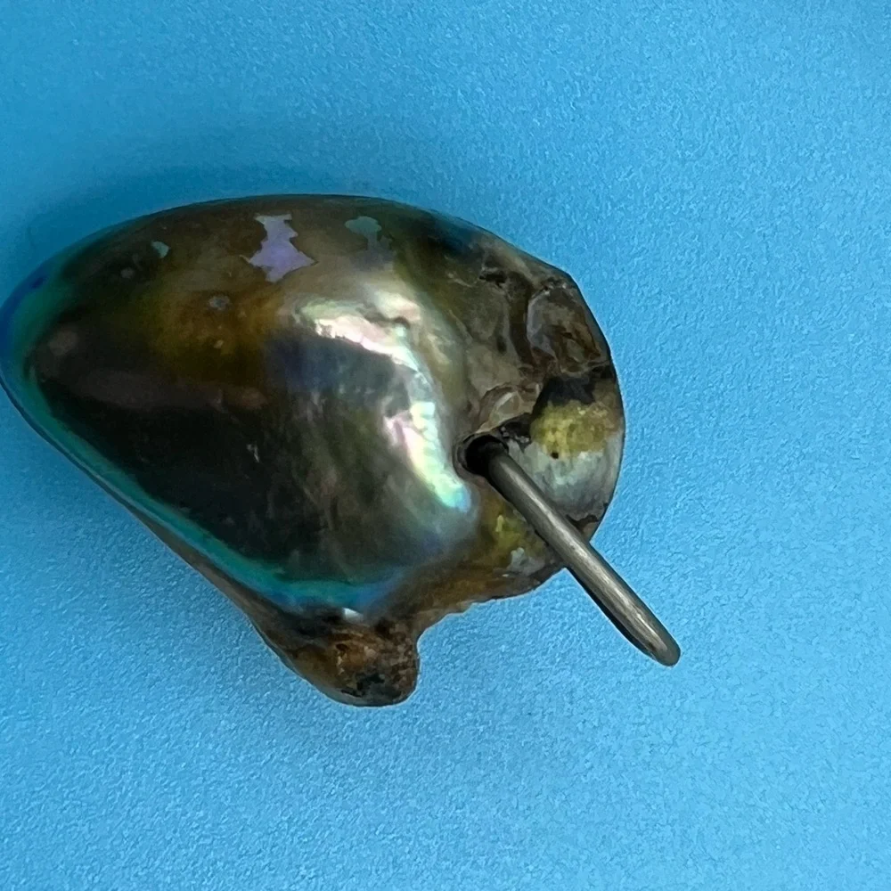 Organic Shape (Heart) Abalone Pendant - Picture 4 of 5